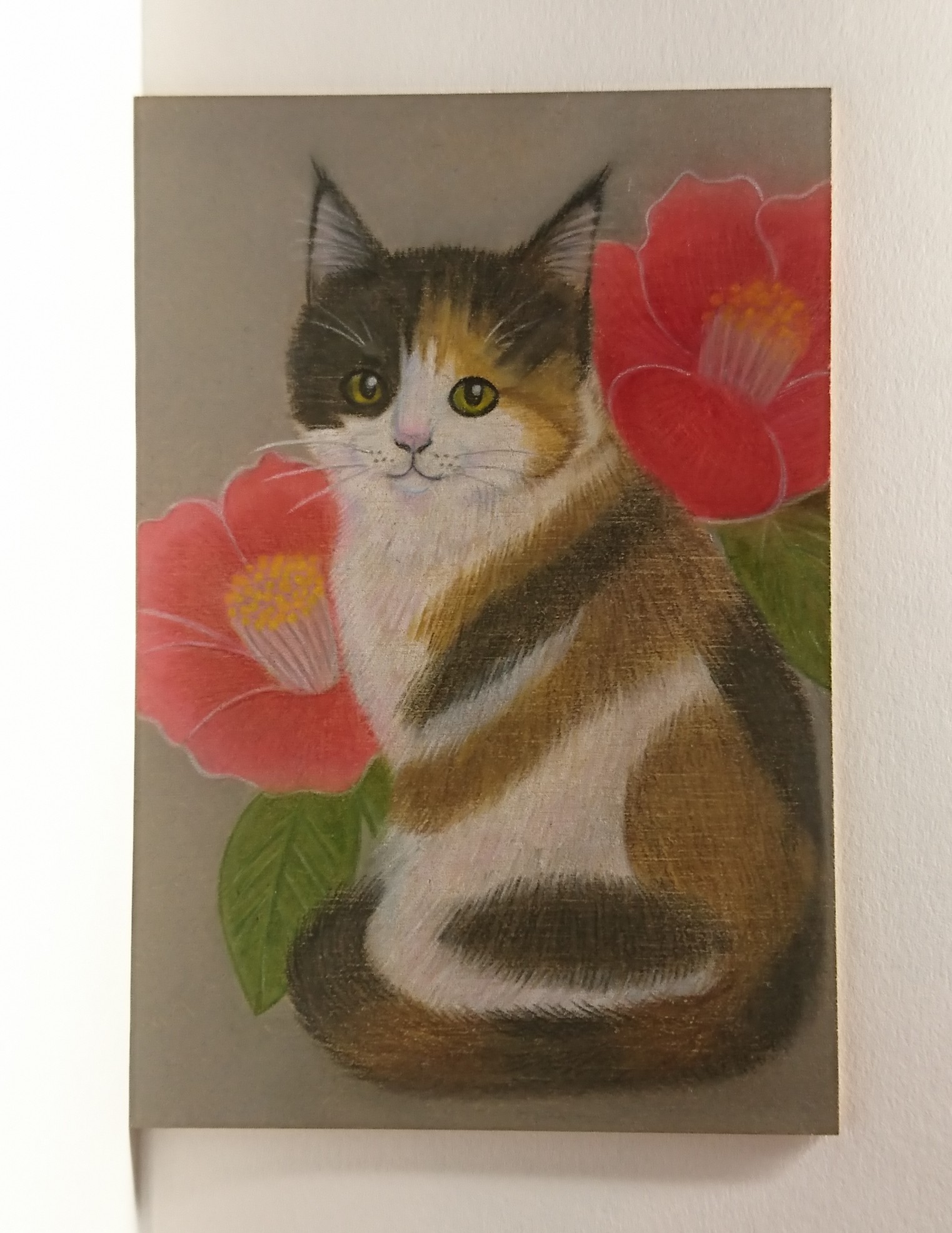 猫の絵作品集 猫のいる 猫の絵教室 運営奮闘記
