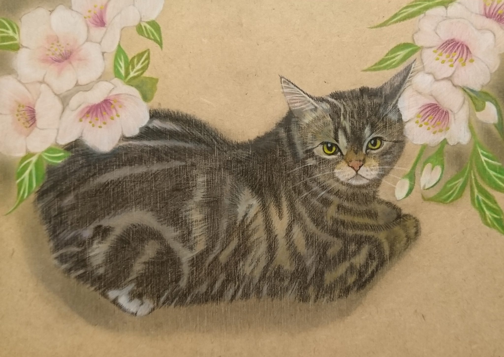 肖像画依頼作品完成！ ♥ 猫の絵教室ATELIER catsのBlog 継続は画力なり