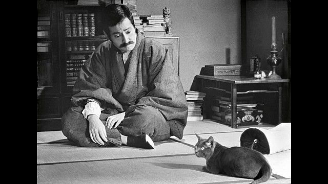 夏目漱石と猫 猫のいる 猫の絵教室 運営奮闘記