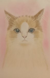 猫の絵作品集④