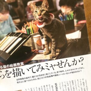 3月の対面★猫の絵教室の日程について📝