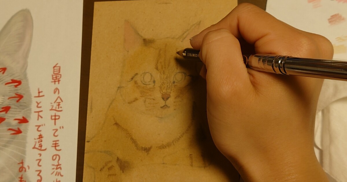 対面で猫の絵教室🐱🌟おひとり様からOK@東京・六本木 / 猫画家 まこ