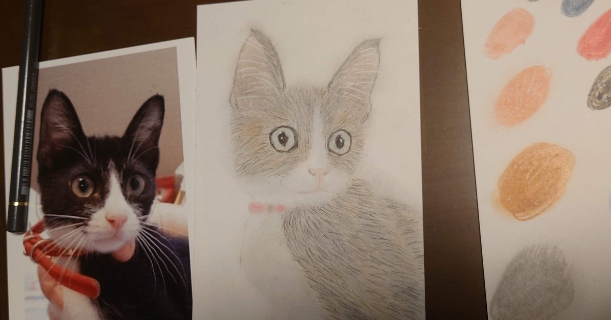 【全3回／画材込み】ネコをケント紙にふんわり描こう！マンツーマン / しらた まこ